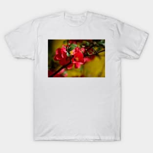 Spring ~ Big Ditch, Silver City NM T-Shirt